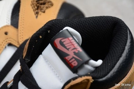 AllSeason 1 555088-700 Retro High Jordan Air OG 333 ROY 1113